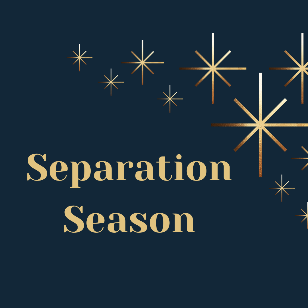 🚀 Fuel Your Success This Year-End: The Art of Separation Season!